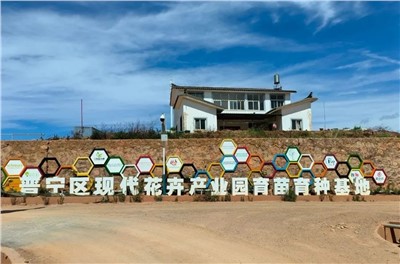 【案例故事】享譽(yù)世界的春城花都，世邦助力云南晉寧走出“芬芳”致富路